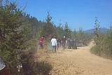 2001wildwest0767.jpg
