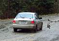 03nov1car17b.jpg