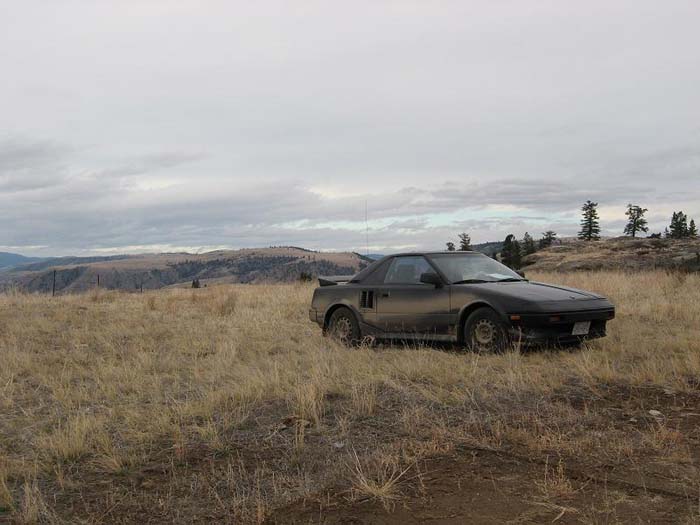 totem06car00h