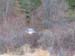 totem06car14h